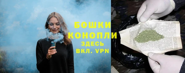 ешки Арсеньев