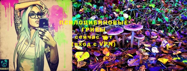 ешки Арсеньев