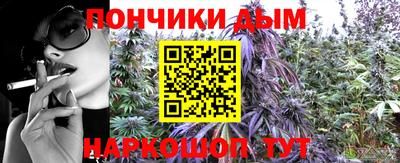 2c-b Гатчина