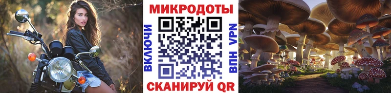 Псилоцибиновые грибы Psilocybine cubensis Моздок