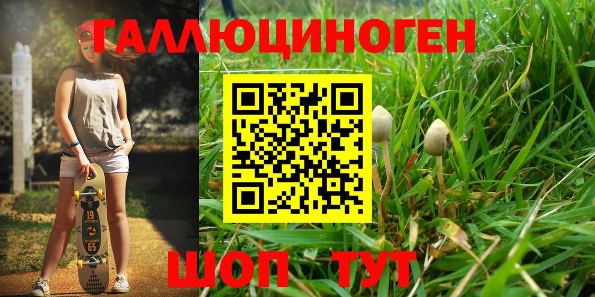 Галлюциногенные грибы мицелий  Вход с VPN  наркота  Моздок 